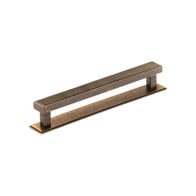 Barrington Pull Handle and Backplate Bronze