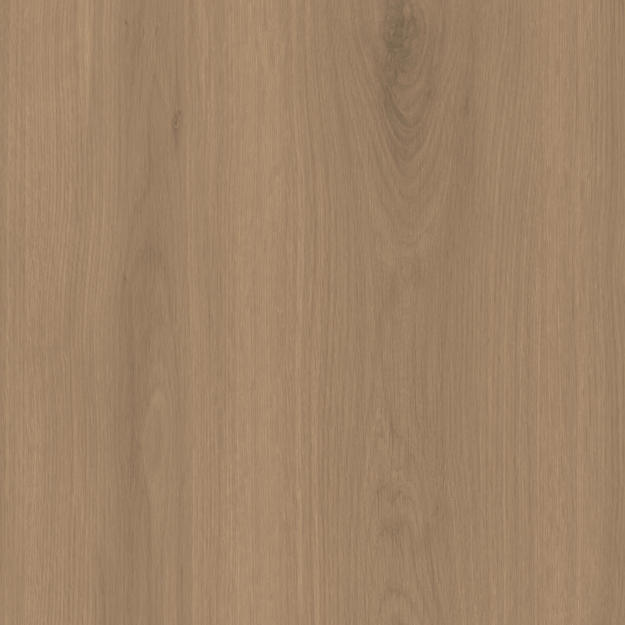 Woodgrain Canella Oak 