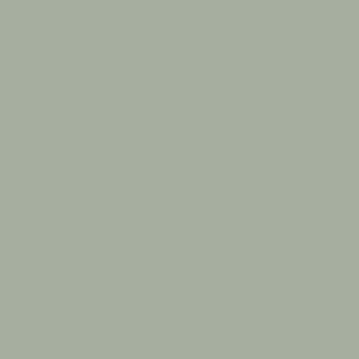 Ora Supermatt Agave Green